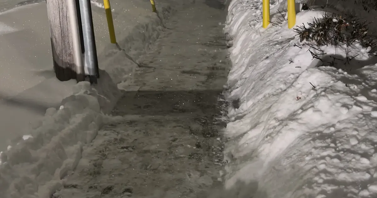 Snow-lined paved access beside yellow bollards at night